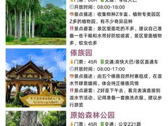 -西双版纳原始森林公园