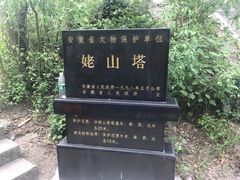 -巢湖姥山岛