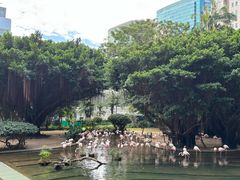 -九龙公园