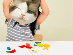 -培飞思维启蒙·益智游戏·科学探索(城西银泰店)