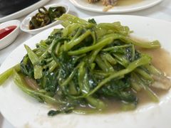 -新陶陶酒家