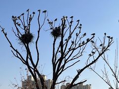 -太原动物园