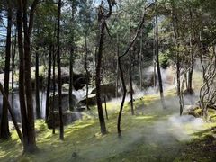 -玉苍山国家森林公园