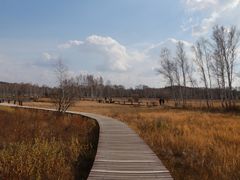 -塞罕坝国家级自然保护区