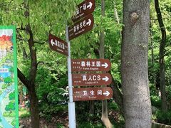 -WeLope紫金山探险公园