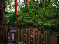 景观位-王家渡火锅(三苏祠店)