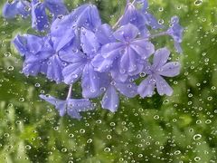 -苏州河梦清园环保主题公园