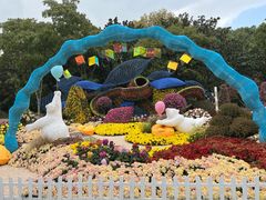 -上海共青森林公园