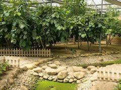 -上海都市菜园