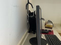 -艾贝尔宠物医院·24H转诊中心·肿瘤猫专科(江宁双龙店)