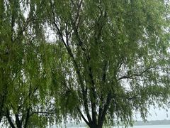 -苏州湾体育公园