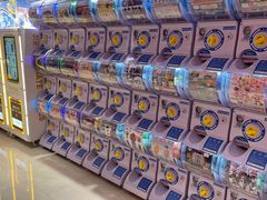 -和气桃桃(宏伊广场店)