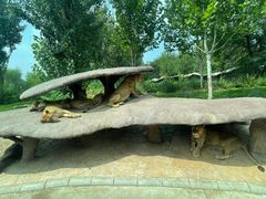 -北京野生动物园