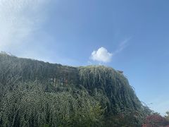 -府河摄影公园