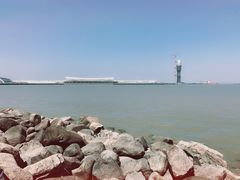 -上海吴淞炮台湾国家湿地公园