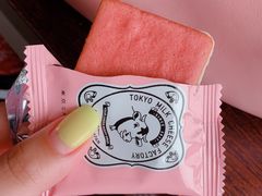 -关西国际机场直营免税店