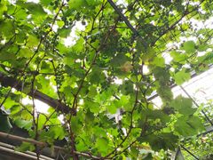 -伊隆斋(什刹海店)