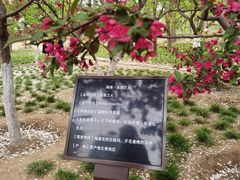 -海棠花溪(元大都城垣遗址公园)