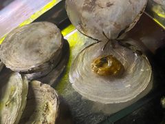 -八一湛江生蚝(文明东路总店)