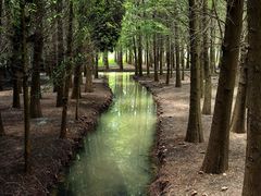-捞渔河湿地公园