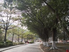 -广东外语外贸大学(白云山校区)
