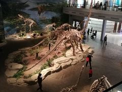 -自贡恐龙博物馆