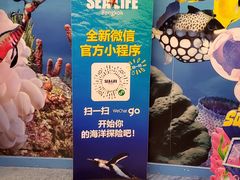 -暹罗海洋世界