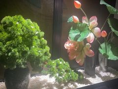 -荷栖小院·品质江西菜(红谷滩店)
