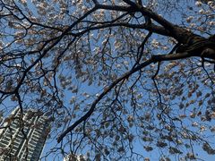 -成都市活水公园