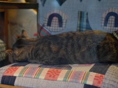 -恋物百货商店(华侨城店)