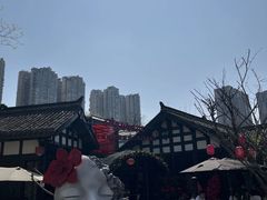 -铁像寺水街