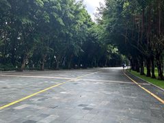 -深圳国际园林花卉博览园