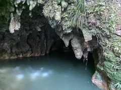 -怀托摩萤火虫洞