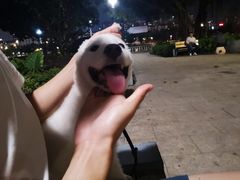-光明港公园