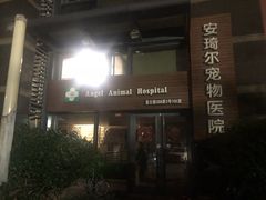 -爱侣·安琦尔宠物医院·中兽医针灸·心内科·狂犬免疫点(宝山区院)