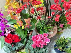 -龙大花卉苗木市场