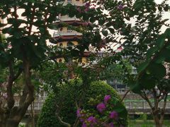 -宝岛公园