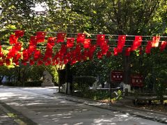 -哈密回王府景区