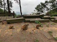 -重庆雨台山风景区