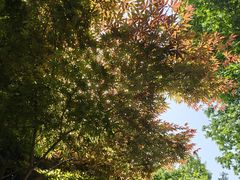 -南京市江宁方山