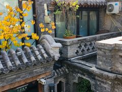 -糖房咖啡(南锣鼓巷店)