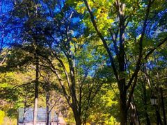 -洛阳白云山景区