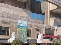 -上海博物馆(人民广场馆)