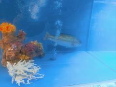 -怡咖啡·自助餐·西安香格里拉