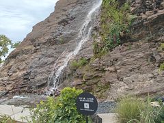 -雅苑中餐厅