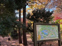 景点-井之头恩赐公园