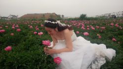 -完美新娘婚纱摄影