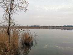 -绿堤公园