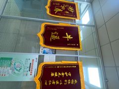 -美美宠物诊疗中心·异宠·骨科(滨江东信分院)