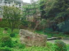 -缙云山景区